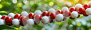 Nanotechnologies and molecular synthesis that allow you to create materials with unique propert