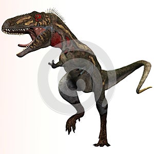 Nanotyrannus Profile