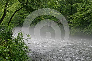 Nantahala River Fog photo