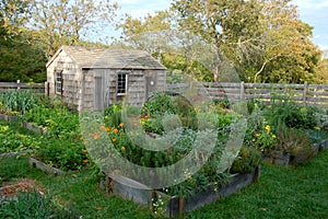 Nantucket, MA: Coffin House Colonial Garden photo