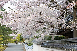 Nanzen-ji Temple in Kyoto, Japan. Emperor Kameyama established it in 1291 on the site of his previous