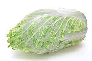 Napa cabbage