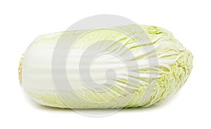 Napa cabbage, isolated