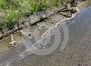 Napa Creek shoreline reinforcement