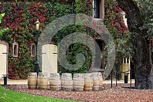 Napa valley vineyard