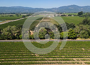 Napa Valley vineyards, from the air