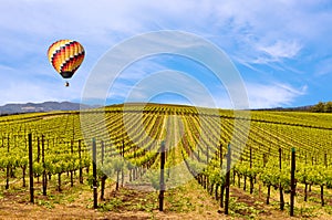 Napa Valley Vineyards, Spring, Mountains, Sky, Clouds, Hot Air Balloon