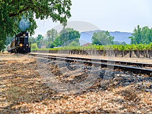 Napa Valley Wine Train Excursions