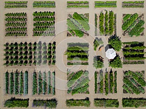 Napa Valley winery garden, from the air