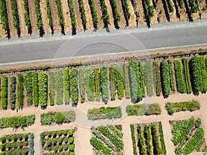 Napa Valley winery garden, from the air