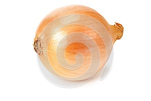 Napiform onion isolated on a white background