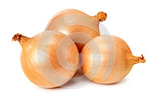 Napiform onion isolated on a white background