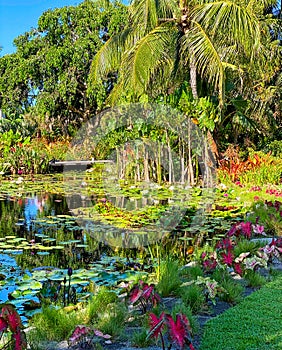 Naples botanical garden lake lily pads greenery Florida