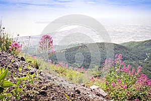 Naples Gulf taken from Vesuvius volcano, Italy