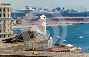 Naples, Italy, Borgo marinari