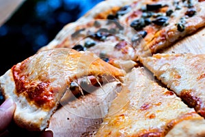 Napole pizza and Cheese pizza