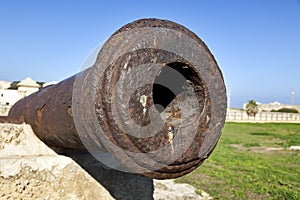 Napoleon's Cannon