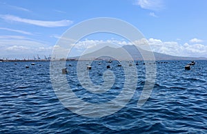 Napoli - Allevamento di cozze al largo di Borgo Marinari photo