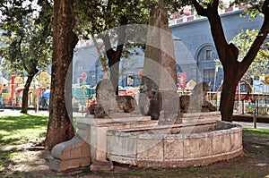 Napoli - Fontana dei Leoni nei Giardini Molosiglio photo