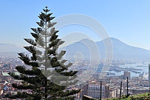 Napoli - Panorama dalla Scalinata Pedamentina photo