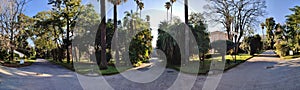 Napoli - Panoramica dei vialetti del Real Orto Botanico