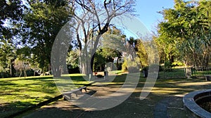 Napoli - Panoramica dei vialetti nel Real Orto Botanico