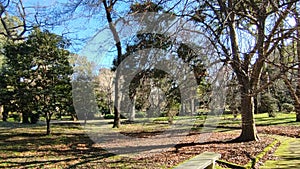 Napoli - Panoramica del Real Orto Botanico