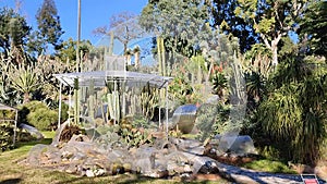 Napoli - Panoramica delle piante grasse nel Real Orto Botanico