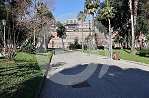 Napoli - Scorcio di Palazzo Reale dai Giardini del Molosiglio