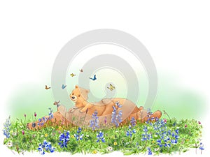 Napping with butterflies