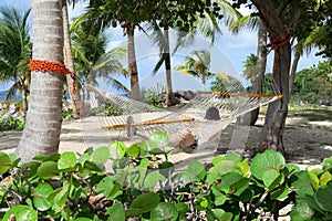 Napping in a Hammock