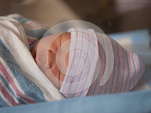 Napping newborn photo