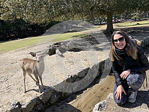 Nara Deer Park close to Kyoto and Osaka, Japan