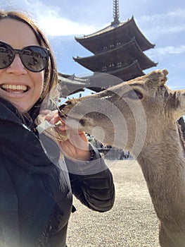 Nara Deer Park close to Kyoto and Osaka, Japan