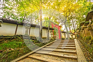 Kasuga Taisha Torii