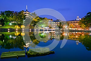 Nara Japan Skyline