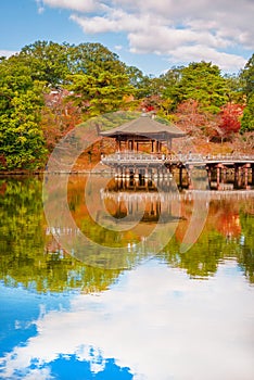 Nara Park in Autumn