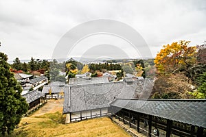 Nara Park view