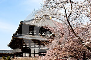 Nara Todaiji temple
