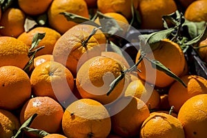 Naranjas listas para vender en el mercado