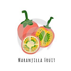 Naranjilla fruit flat vector illustration photo