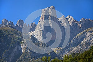 Naranjo de Bulnes