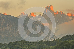 Naranjo de Bulnes, Picos de Europa