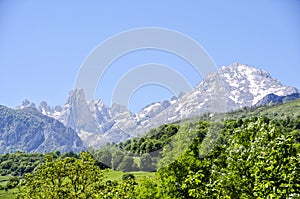 Naranjo de Bulnes
