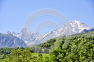 Naranjo de Bulnes photo