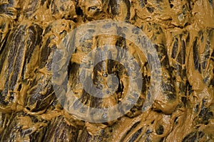 Narazuke pickles close up