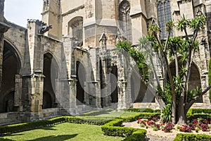 Narbonne, cathedral cloister