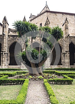 Narbonne (France), cathedral cloister