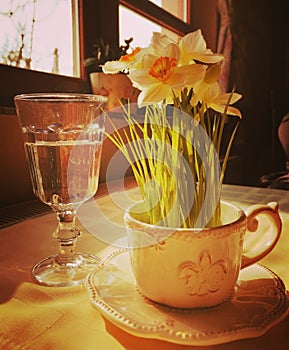 Narcis flower and glass of wather