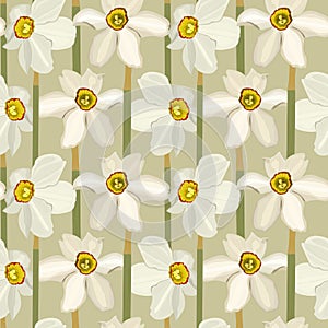 Narcis flowers seamless pattern. Vector stock illustration eps10.